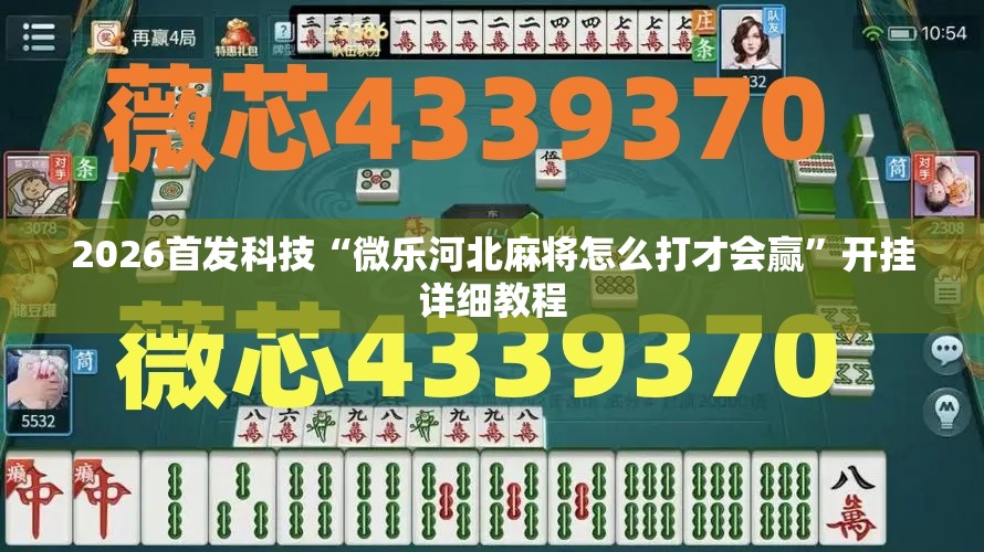 2026首发科技“微乐河北麻将怎么打才会赢”开挂详细教程