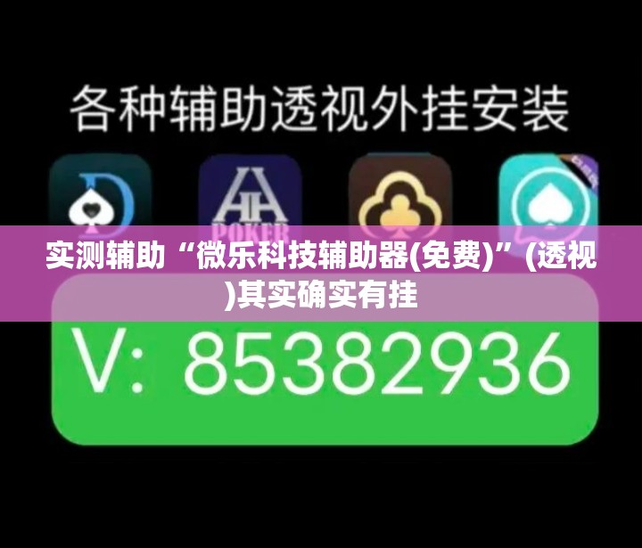 实测辅助“微乐科技辅助器(免费)”(透视)其实确实有挂