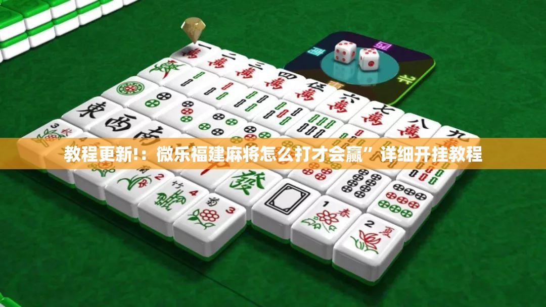 教程更新!：微乐福建麻将怎么打才会赢”详细开挂教程