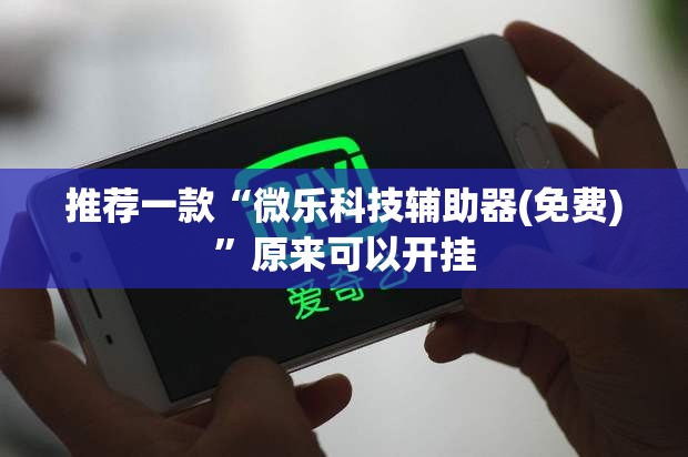 推荐一款“微乐科技辅助器(免费)”原来可以开挂