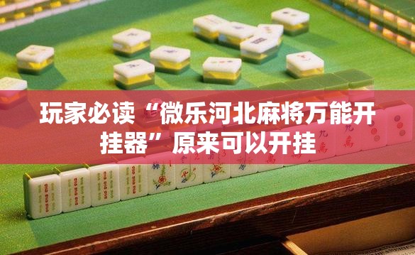 玩家必读“微乐河北麻将万能开挂器”原来可以开挂