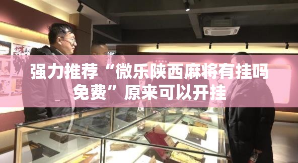 强力推荐“微乐陕西麻将有挂吗免费”原来可以开挂