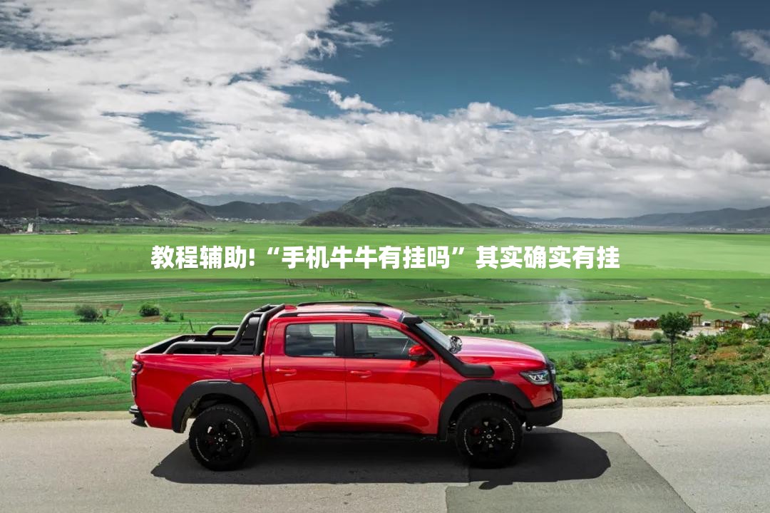 教程辅助!“手机牛牛有挂吗”其实确实有挂