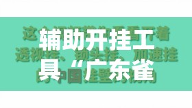 辅助开挂工具“广东雀神试用一天	”开挂(透视)辅助教程
