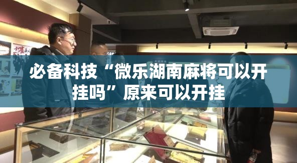 必备科技“微乐湖南麻将可以开挂吗”原来可以开挂