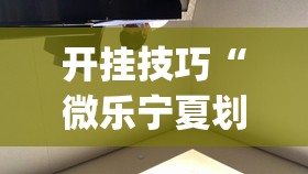 开挂技巧“微乐宁夏划水免费房间怎么开挂”(透视挂)辅助下载教程