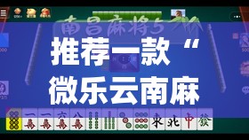 推荐一款“微乐云南麻将开挂教程”开挂(透视)最新辅助详细