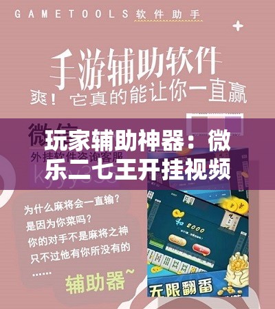 玩家辅助神器：微乐二七王开挂视频”细辅助教程分享