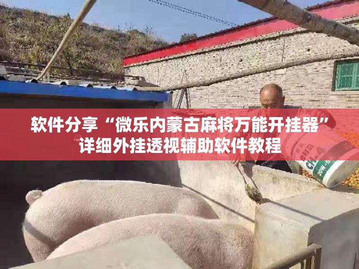 软件分享“微乐内蒙古麻将万能开挂器	”详细外挂透视辅助软件教程