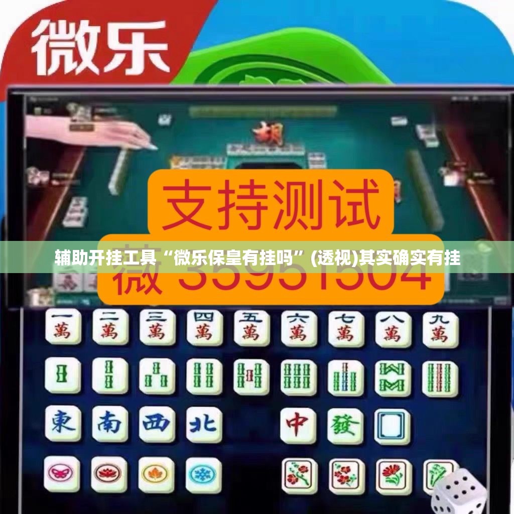 辅助开挂工具“微乐保皇有挂吗”(透视)其实确实有挂