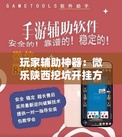 玩家辅助神器：微乐陕西挖坑开挂方法”详细分享装挂步骤