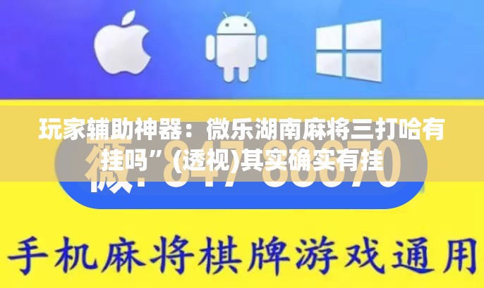 玩家辅助神器：微乐湖南麻将三打哈有挂吗”(透视)其实确实有挂