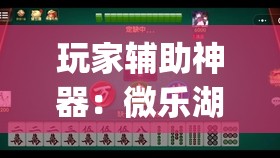 玩家辅助神器：微乐湖南麻将三打哈有挂吗”(透视)其实确实有挂
