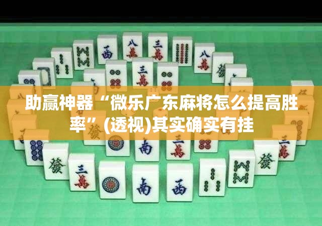助赢神器“微乐广东麻将怎么提高胜率”(透视)其实确实有挂