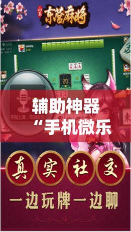 辅助神器“手机微乐麻将助赢神器”详细分享装挂步骤