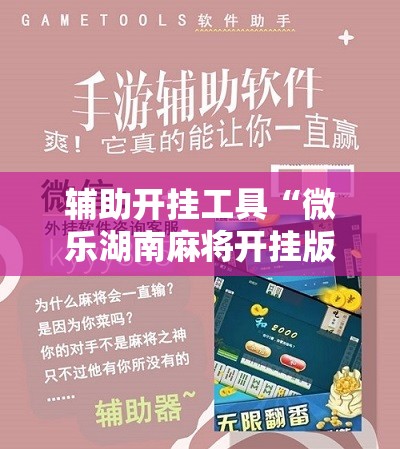 辅助开挂工具“微乐湖南麻将开挂版本软件”详细分享装挂步骤