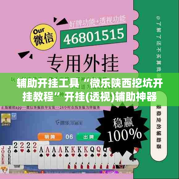 辅助开挂工具“微乐陕西挖坑开挂教程”开挂(透视)辅助神器