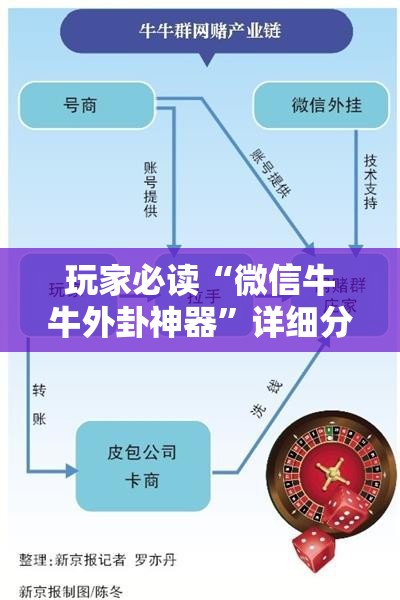 玩家必读“微信牛牛外卦神器”详细分享装挂步骤