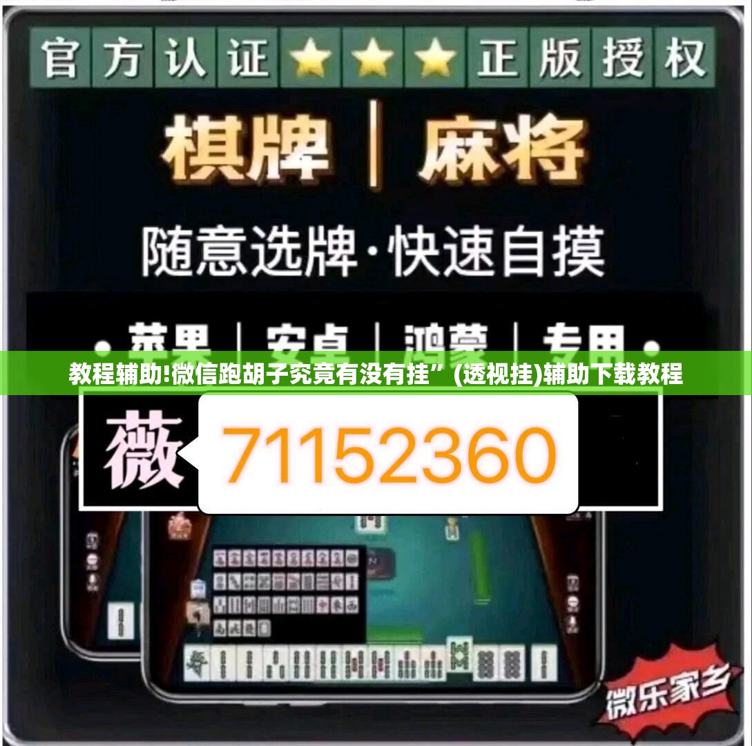 教程辅助!微信跑胡子究竟有没有挂”(透视挂)辅助下载教程
