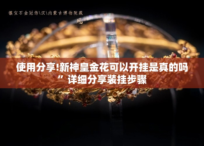 使用分享!新神皇金花可以开挂是真的吗”详细分享装挂步骤