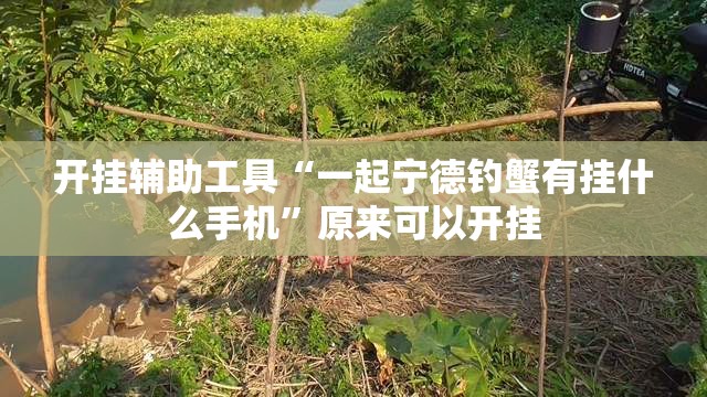 开挂辅助工具“一起宁德钓蟹有挂什么手机”原来可以开挂