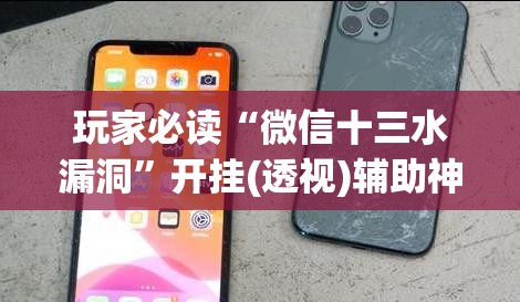 玩家必读“微信十三水漏洞”开挂(透视)辅助神器