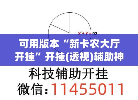 可用版本“新卡农大厅开挂”开挂(透视)辅助神器