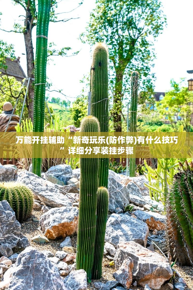 万能开挂辅助“新奇玩乐(防作弊)有什么技巧	”详细分享装挂步骤