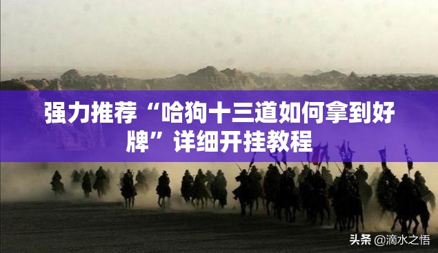 强力推荐“哈狗十三道如何拿到好牌”详细开挂教程