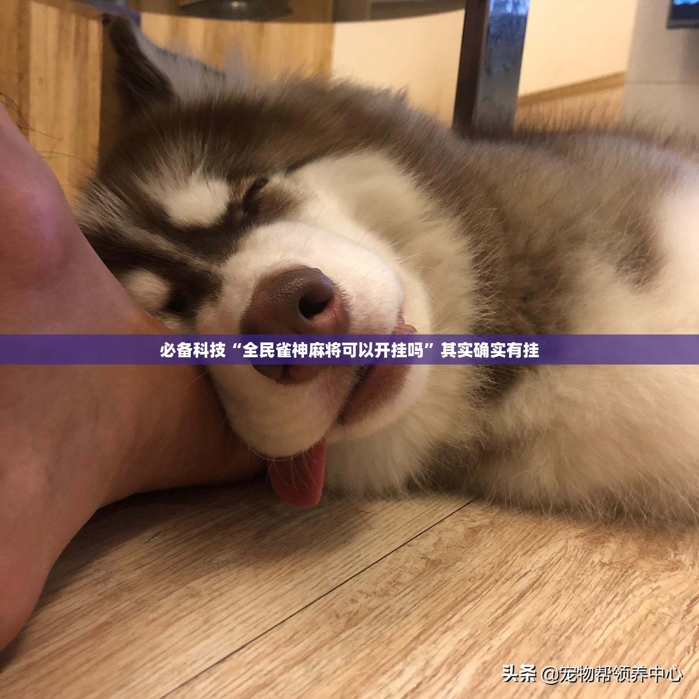 必备科技“全民雀神麻将可以开挂吗”其实确实有挂