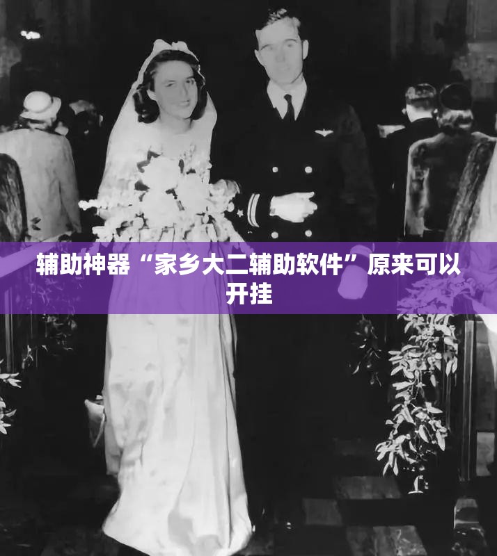 辅助神器“家乡大二辅助软件”原来可以开挂