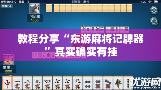 教程分享“东游麻将记牌器”其实确实有挂