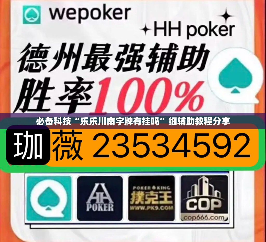 必备科技“乐乐川南字牌有挂吗”细辅助教程分享
