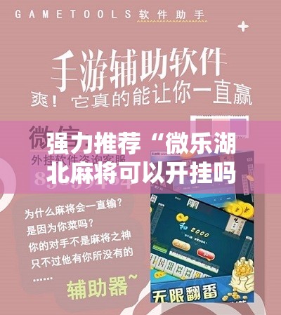 强力推荐“微乐湖北麻将可以开挂吗	”细辅助教程分享