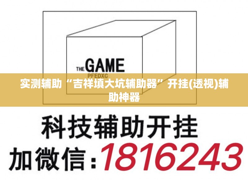 实测辅助“吉祥填大坑辅助器	”开挂(透视)辅助神器