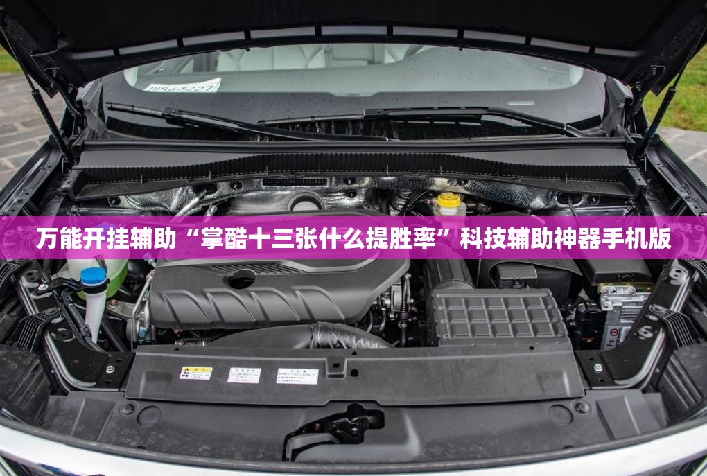 万能开挂辅助“掌酷十三张什么提胜率”科技辅助神器手机版