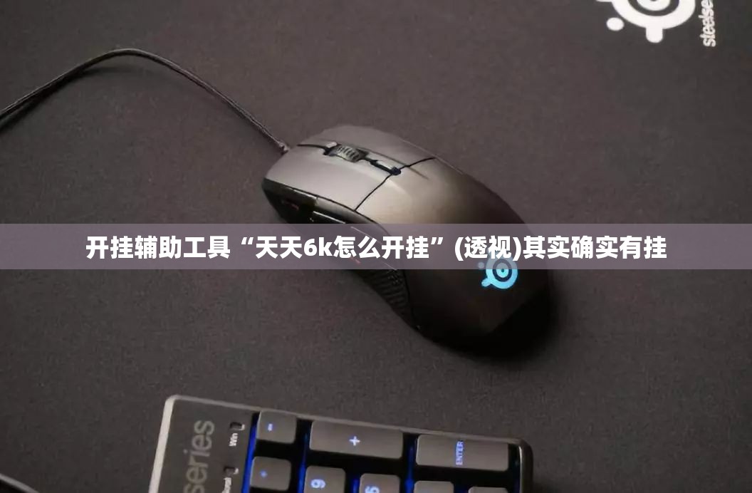 开挂辅助工具“天天6k怎么开挂”(透视)其实确实有挂