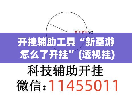开挂辅助工具“新圣游 怎么了开挂	”(透视挂)辅助下载教程
