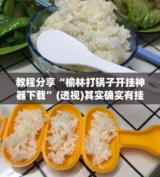 教程分享“榆林打锅子开挂神器下载”(透视)其实确实有挂