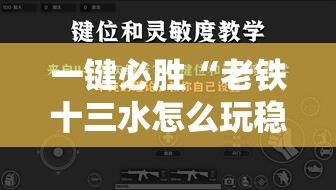 一键必胜“老铁十三水怎么玩稳赢”详细外挂透视辅助软件教程
