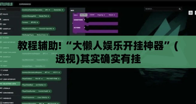 教程辅助!“大懒人娱乐开挂神器”(透视)其实确实有挂