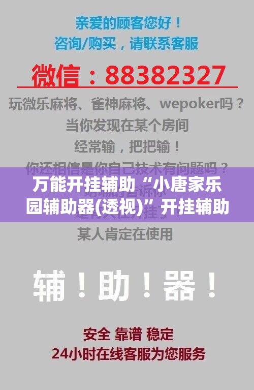 万能开挂辅助“小唐家乐园辅助器(透视)	”开挂辅助脚本+详细开挂安装教程