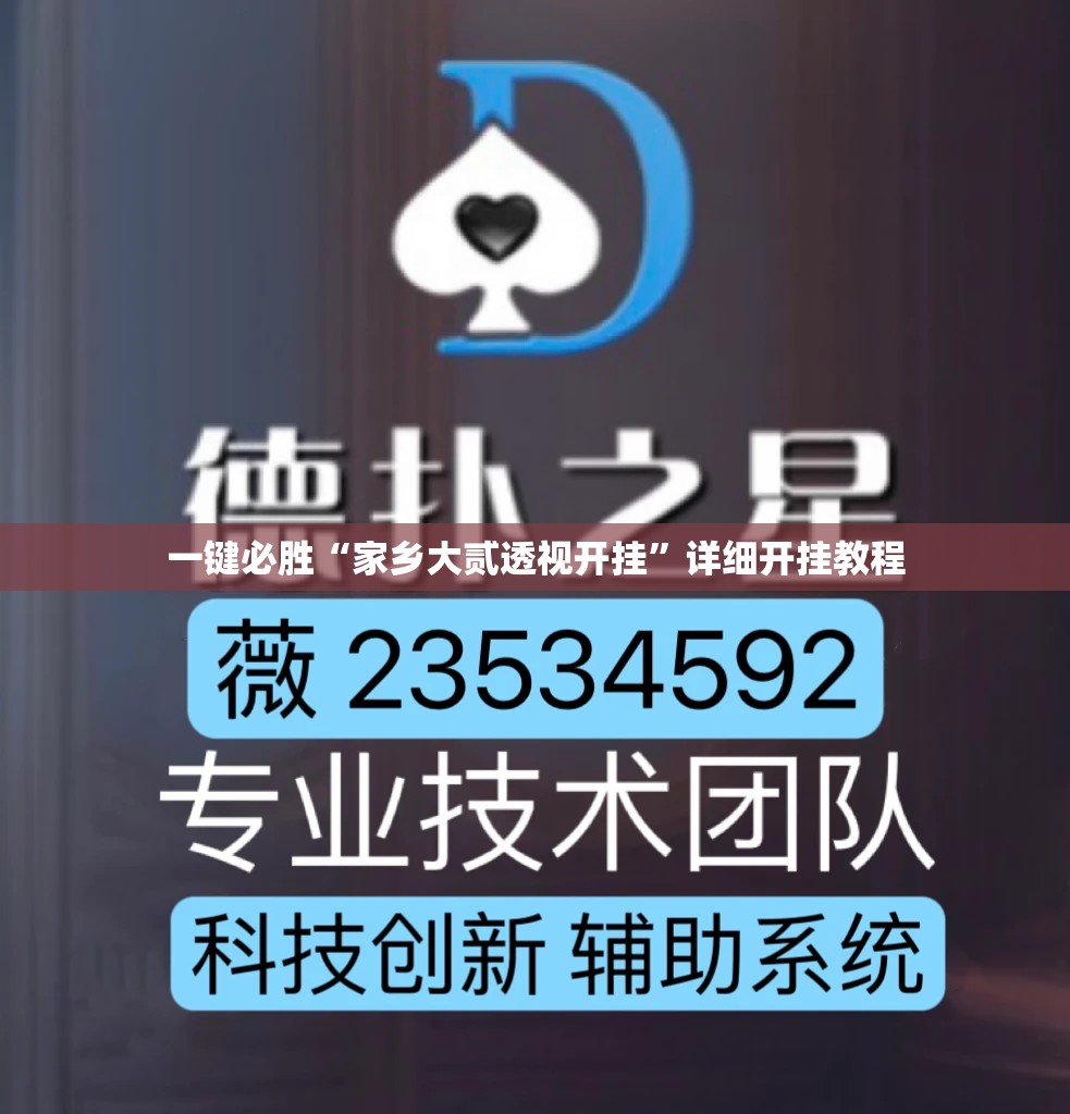 一键必胜“家乡大贰透视开挂”详细开挂教程