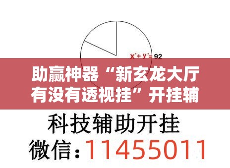 助赢神器“新玄龙大厅有没有透视挂”开挂辅助脚本+详细开挂安装教程