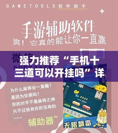 强力推荐“手机十三道可以开挂吗”详细开挂教程