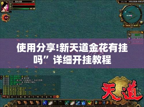 使用分享!新天道金花有挂吗	”详细开挂教程