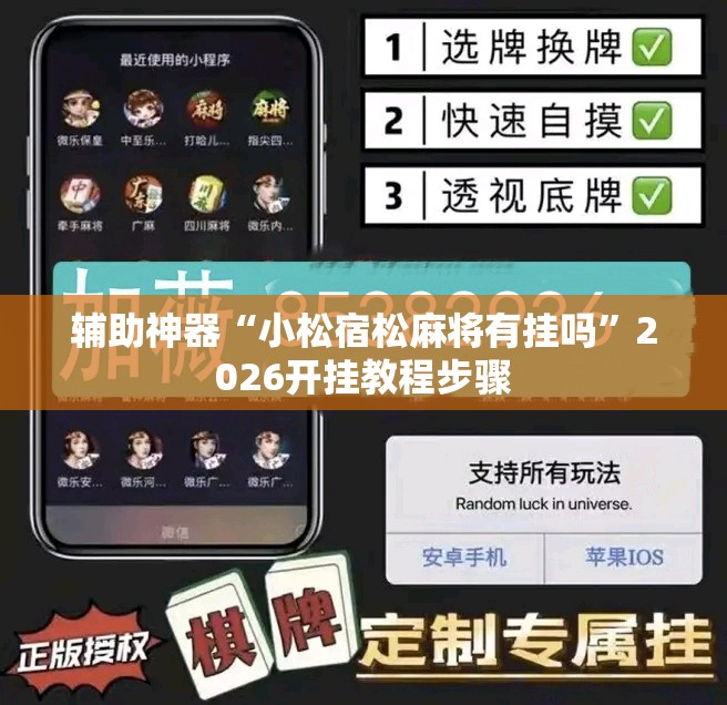 辅助神器“小松宿松麻将有挂吗	”2026开挂教程步骤