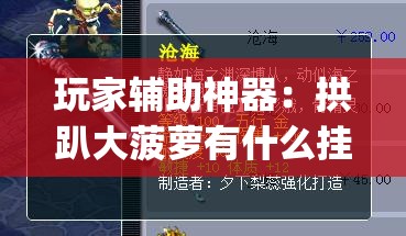 玩家辅助神器：拱趴大菠萝有什么挂吗,是不是真的(透视)”开挂辅助脚本+详细开挂安装教程