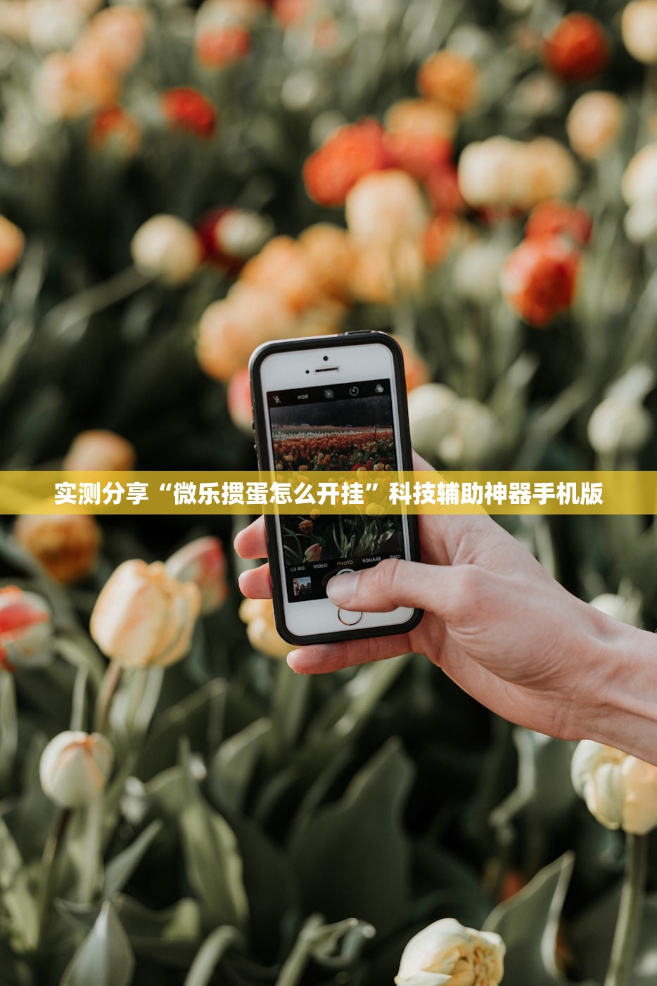 实测分享“微乐掼蛋怎么开挂”科技辅助神器手机版