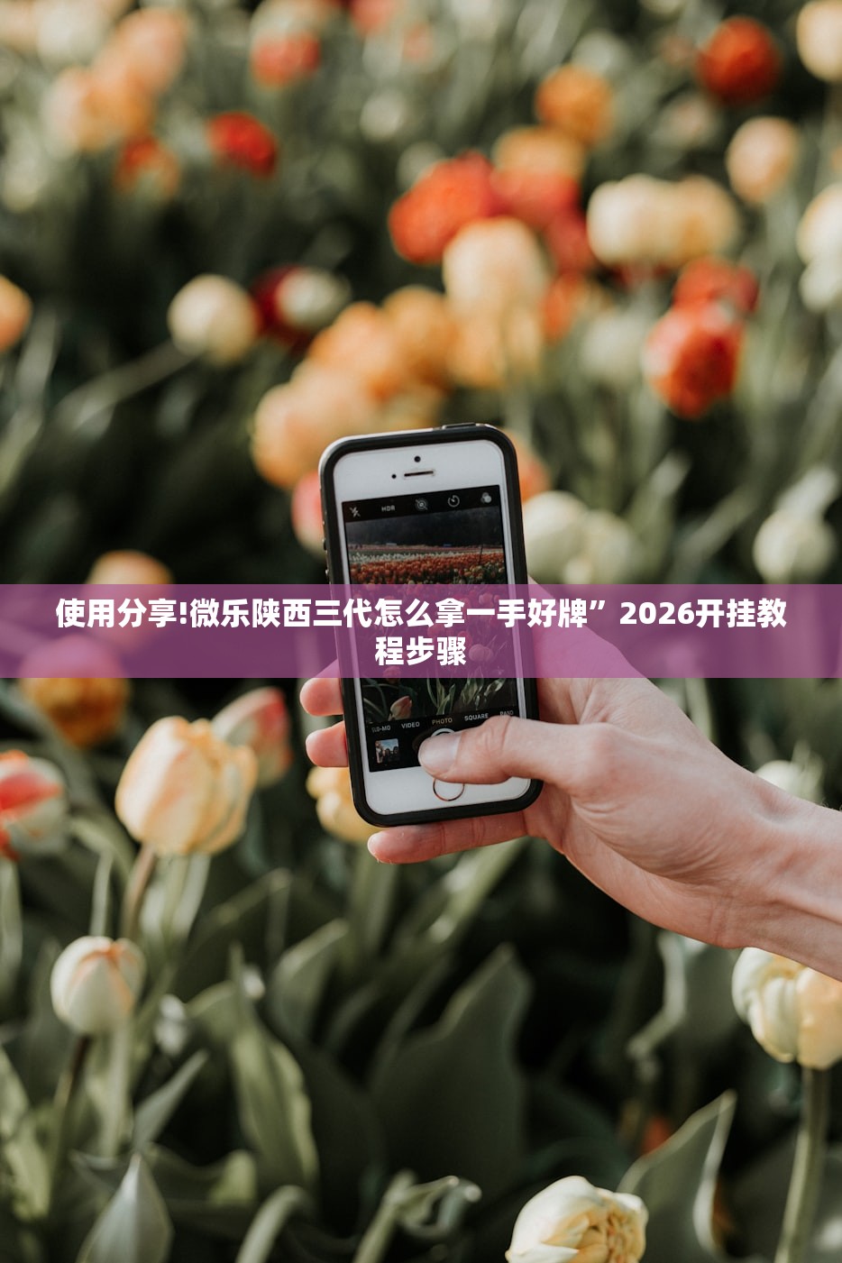 使用分享!微乐陕西三代怎么拿一手好牌”2026开挂教程步骤